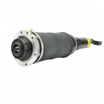 Shock Absorber Fit For Audi A6 C5 4B 4Z7413031A